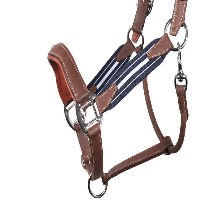 LIC1_EGR_PIC_2021_02