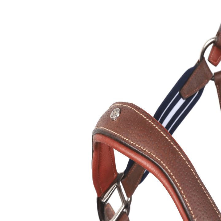 LIC1_EGR_PIC_2021_03