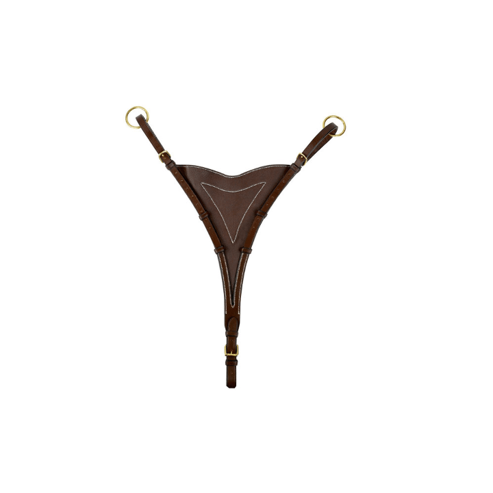 fleche-de-martingale-pleine-eric-thomas-pro.jpg-2