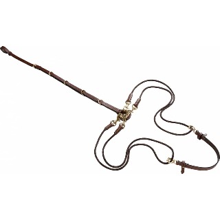 gogue-a-poulies-eric-thomas-pro