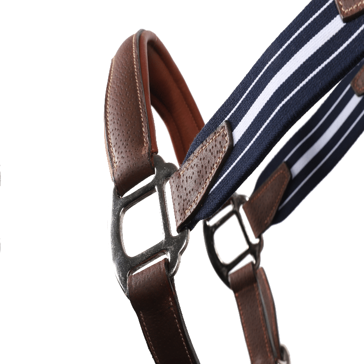 LIC1_EGR_PIC_2021_04