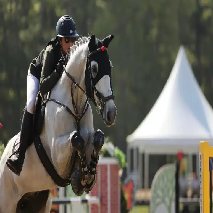 288809482_10159017880361846_5759679430310414043_n-071c4327