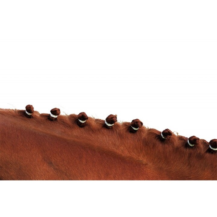 elastiques-a-criniere-hippotonic-5