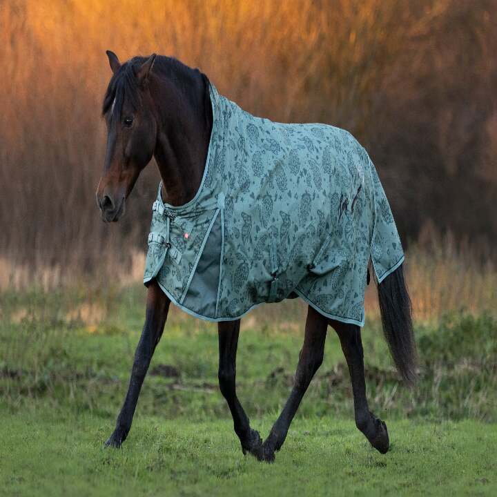 prod-128121-couverture-de-paddock-imperial-riding-pandora-200gr-2560x1706-4e514f0fa2d3