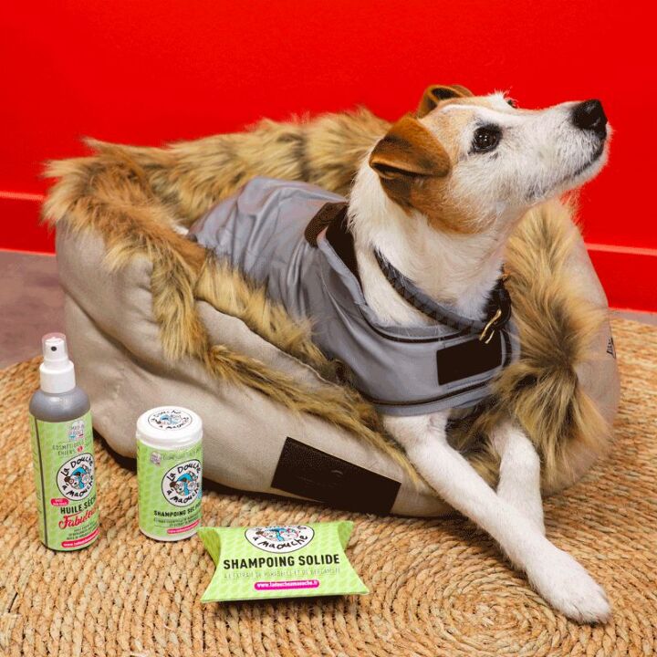 OHLALA-sellerie-look25-chien-kentucky-la-douche-a-maouche_6cc811eb-42cf-4437-a46a-37abbc86fab9