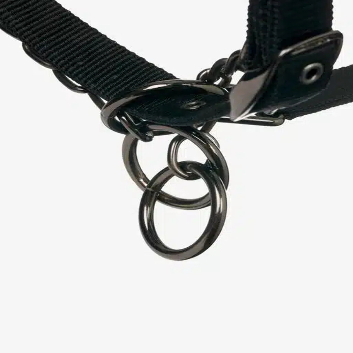 lm-prosafeheadcollar-black-hr_3_copy_1