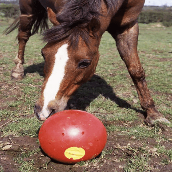 Capture d’écran 2024-11-06 à 21.07.41