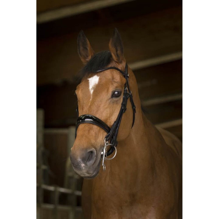 bride-norton-pro-cuir-rond