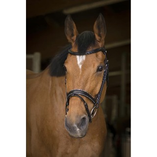 bridon-norton-pro-rock