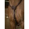 collier-de-chasse-norton-pro-confort-4