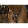 collier-de-chasse-norton-pro-confort-2