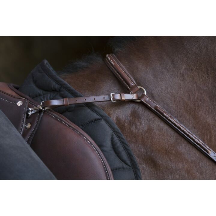 collier-de-chasse-norton-pro-2