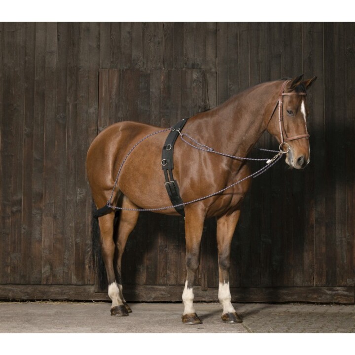 enrenement-a-poulies-norton