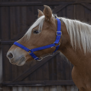 Capture d’écran 2024-11-07 à 14.50.25