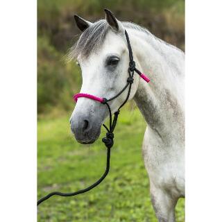 licol-ethologique-longe-norton-fun-colour-2
