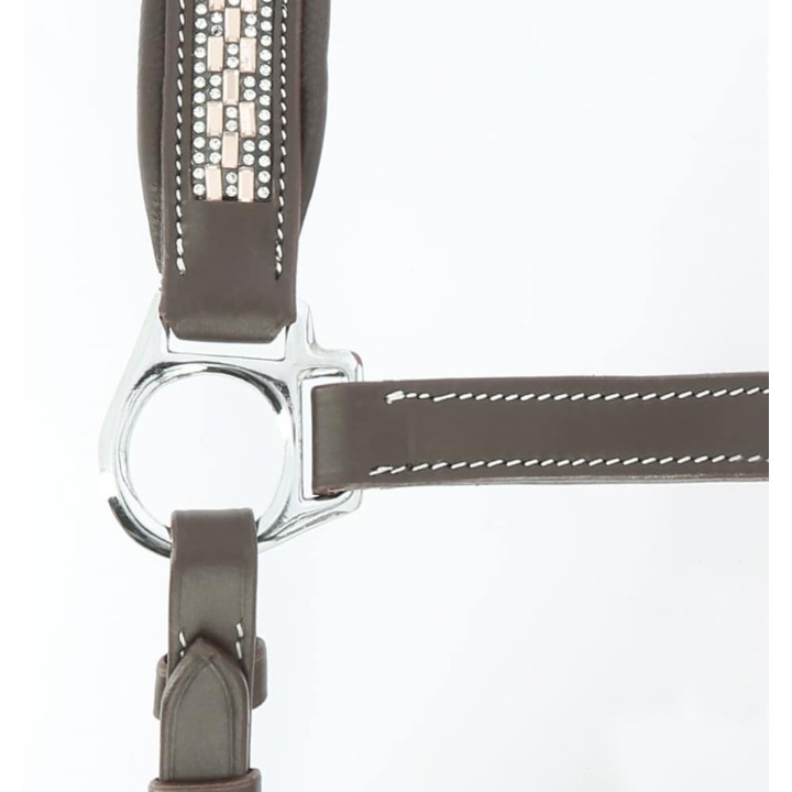 licol-norton-pro-princesse-4