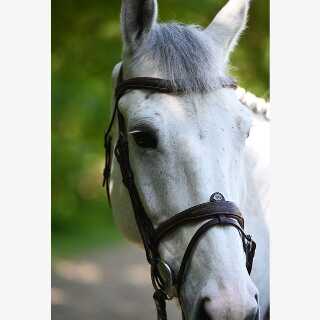 bridon-muserolle-combinee-signature-by-antares