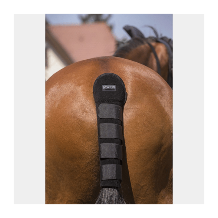 norton-protege-queue-high-protection.jpg-2