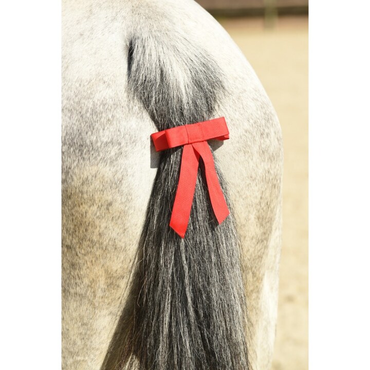 ruban-de-queue-norton-2