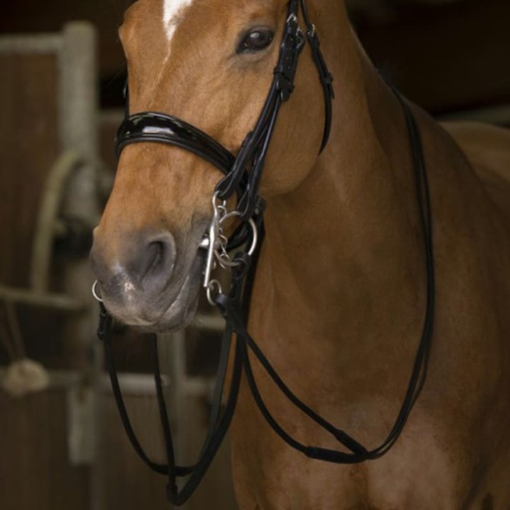 norton-renes-de-bride-cuir-rond-noir