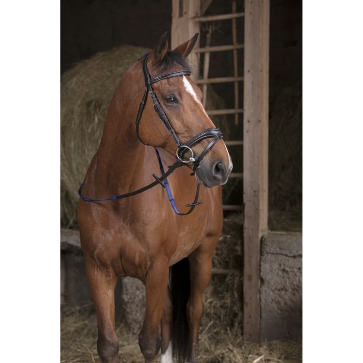 renes-norton-pro-grip-couleur