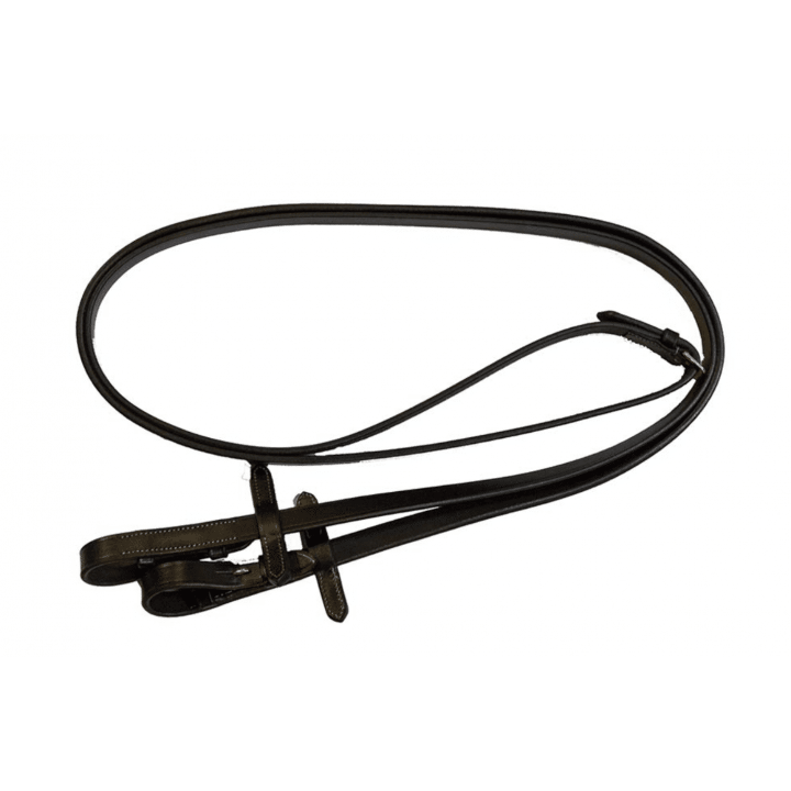 renes-lisses-norton-pro.jpg-2