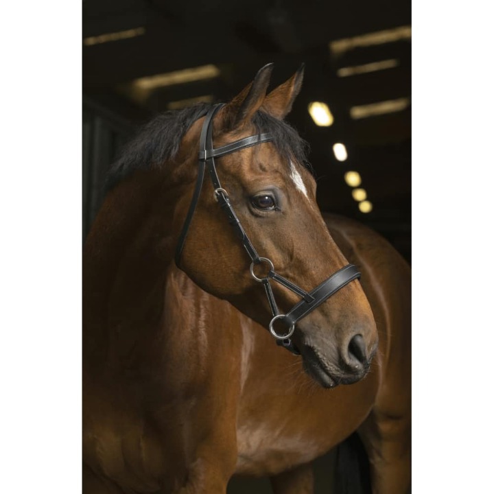 bridon-side-pull-norton-pro-confort