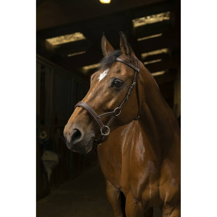 bridon-side-pull-norton-pro-confort-2