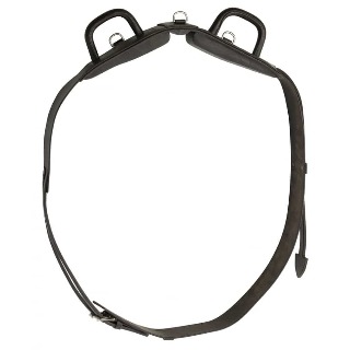 surfaix-de-voltige-a-poignees-norton-club