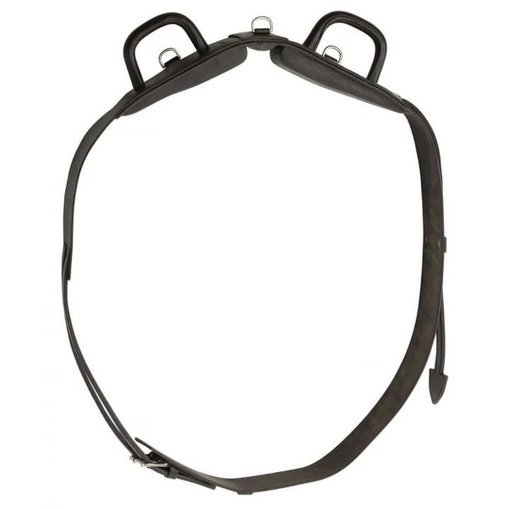 surfaix-de-voltige-a-poignees-norton-club