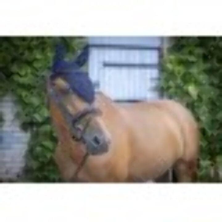 bonnet-pro-coton-long-paddock3