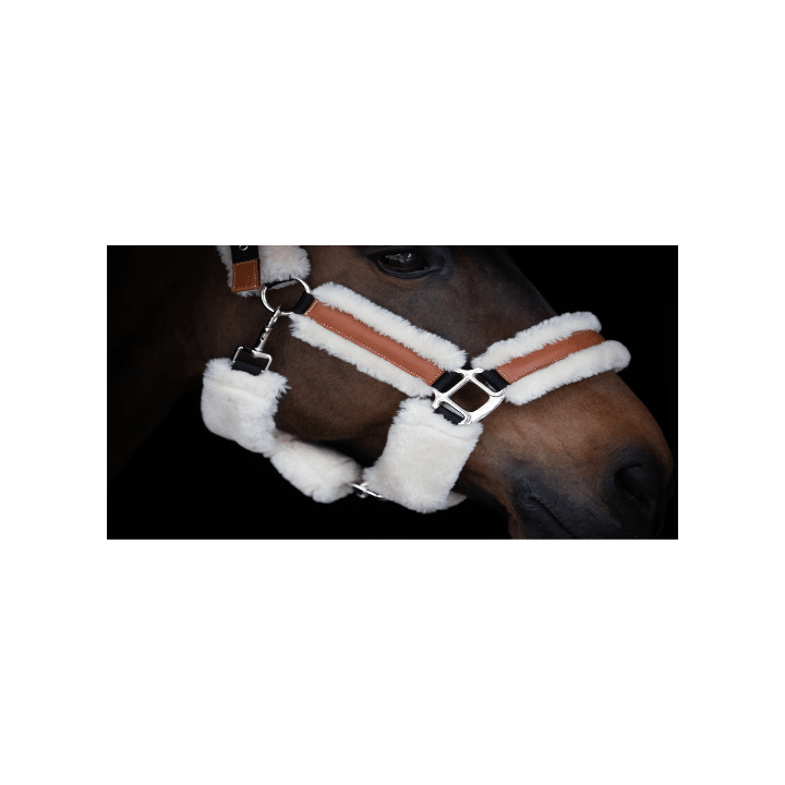 -licol-penelope-soft.jpg-2