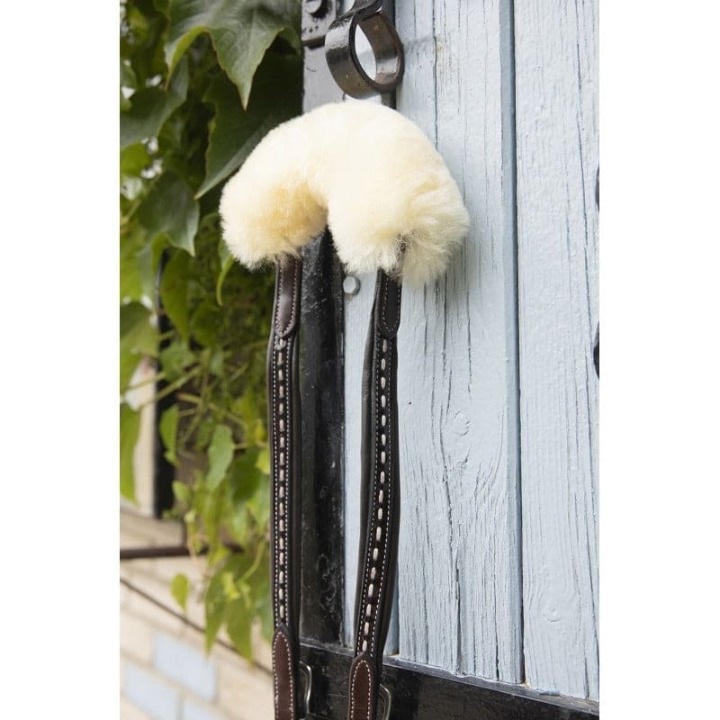 martin-collier-penelope_3e1218dd-bcd1-4906-8901-37f33b6c6273