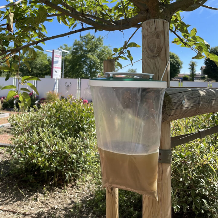 piege-mouche-sac-appat-reutilisable-protecta-5-litres-rempli