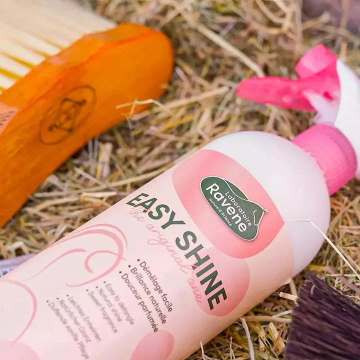 easy-shine-ravene.jpg-2