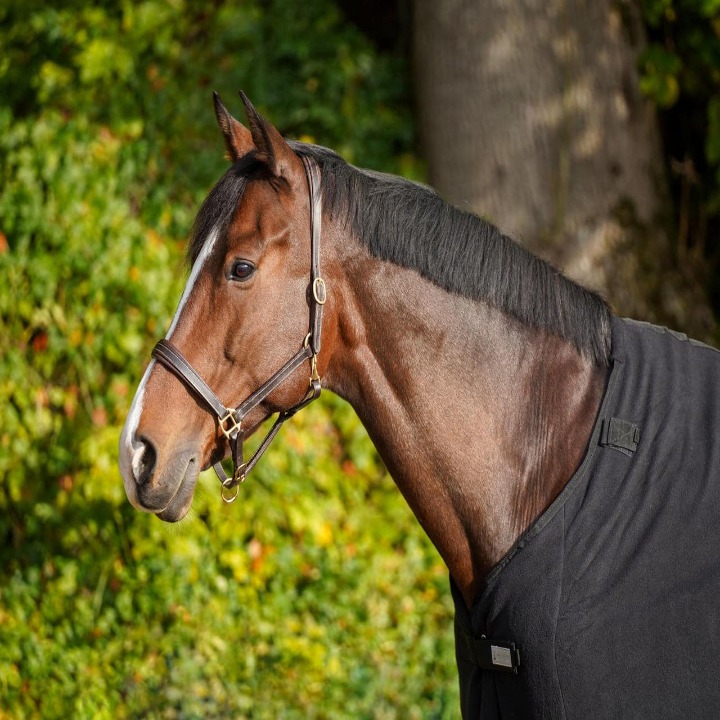 221521_003FSDk1FfgbBzZA