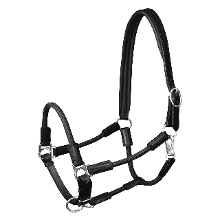 5050201-PON_11_1920x1920