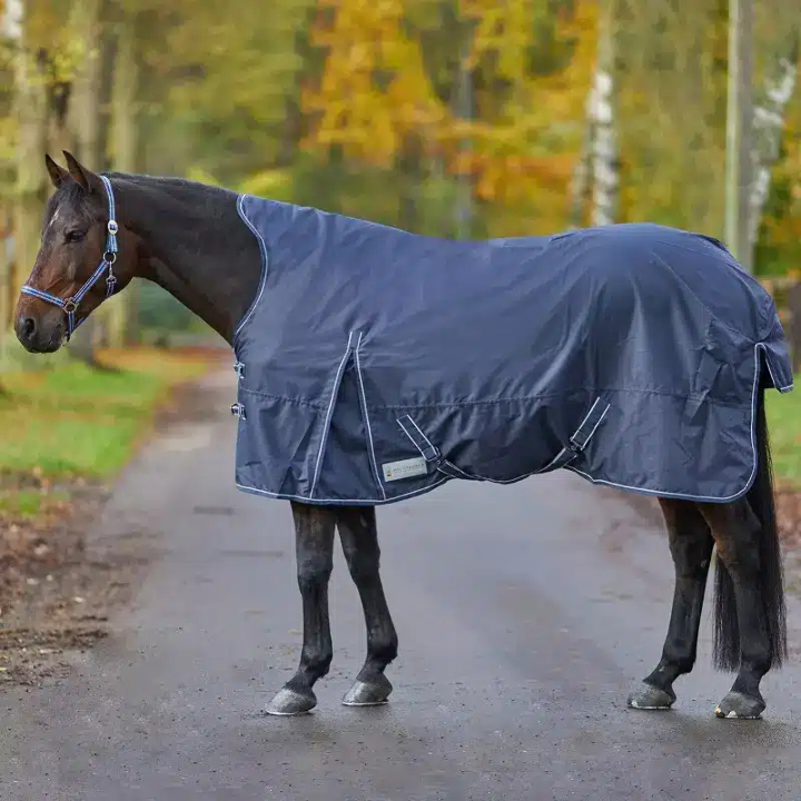 couverture-exterieur-cheval-economic-high-neck-waldhausen-clip-in-200g.jpg