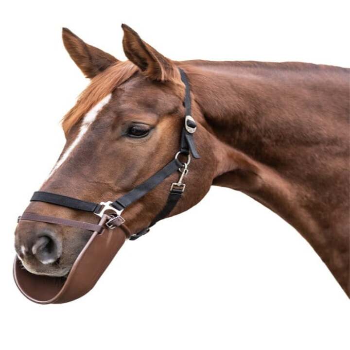 bavette-de-couverture-waldhausen