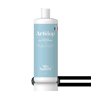 allo-naturel-artidop-bouteille-a-visser-1L-162.png