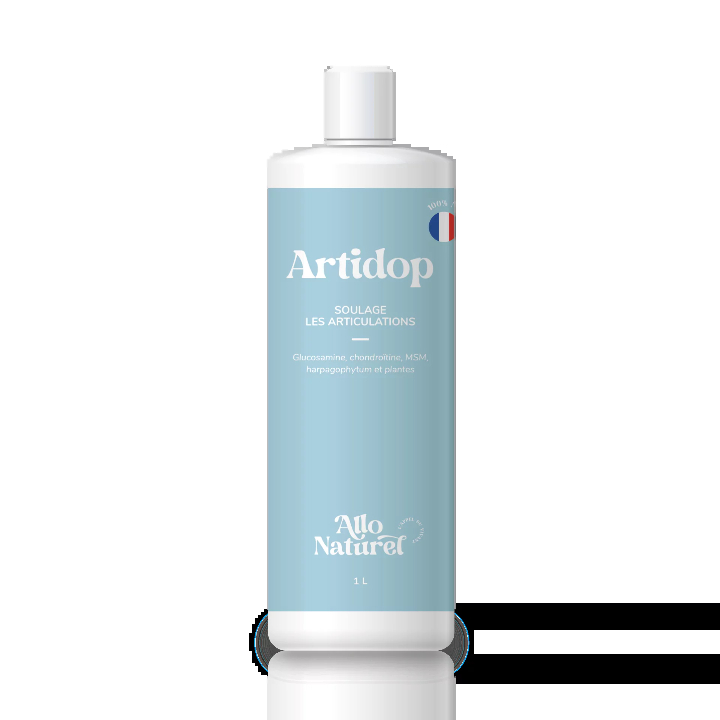 allo-naturel-artidop-bouteille-a-visser-1L-162.png