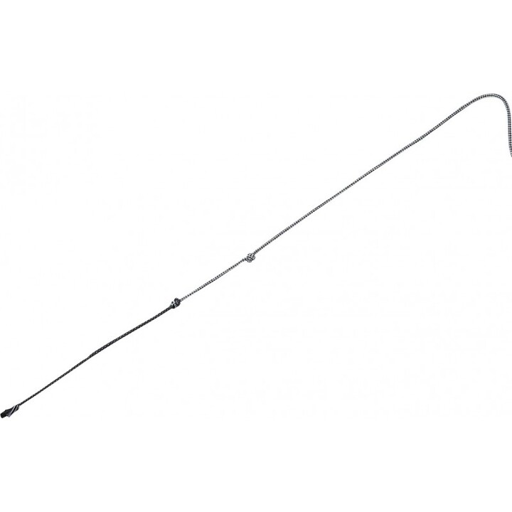 chambriere-whip-go-carbone3