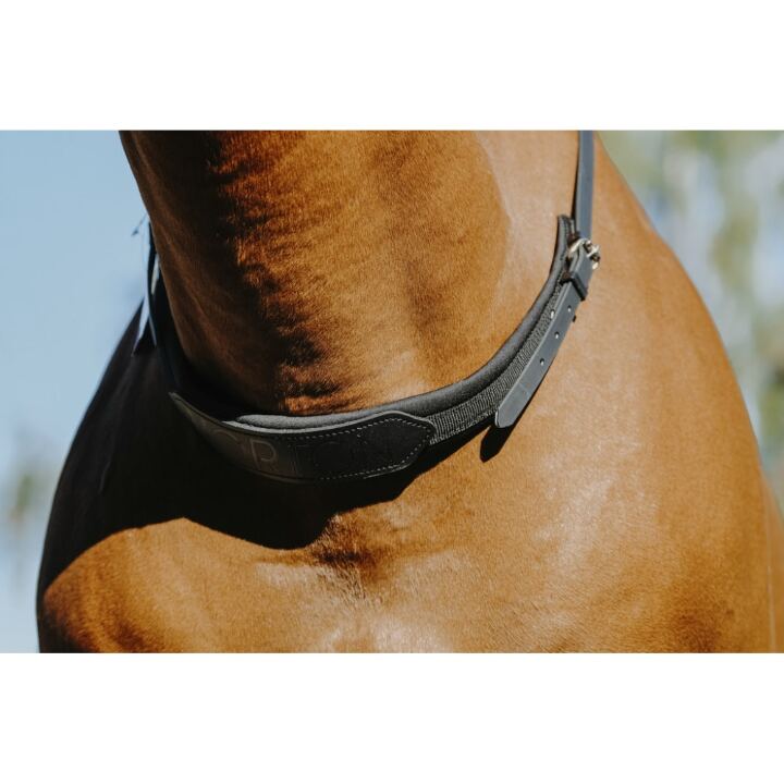 collier-d-encolure-norton