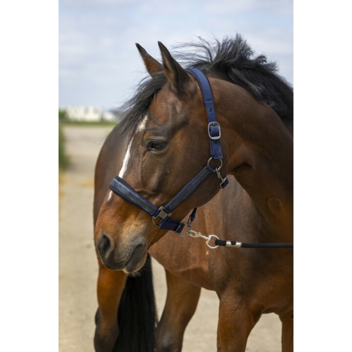 licol-equitheme-nylon-strass