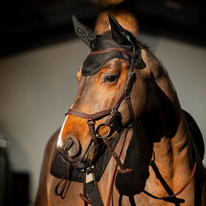 dera01-k000-amigo-ear-net-black_s7ydwvga18vkj4s4