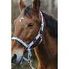 licol-nylon-equitheme-spring-4