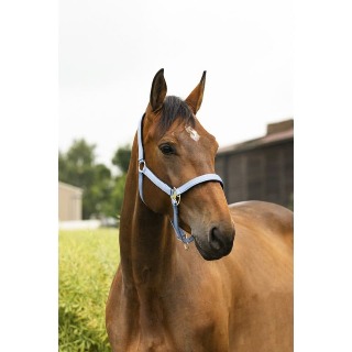 licol-equitheme-air-2