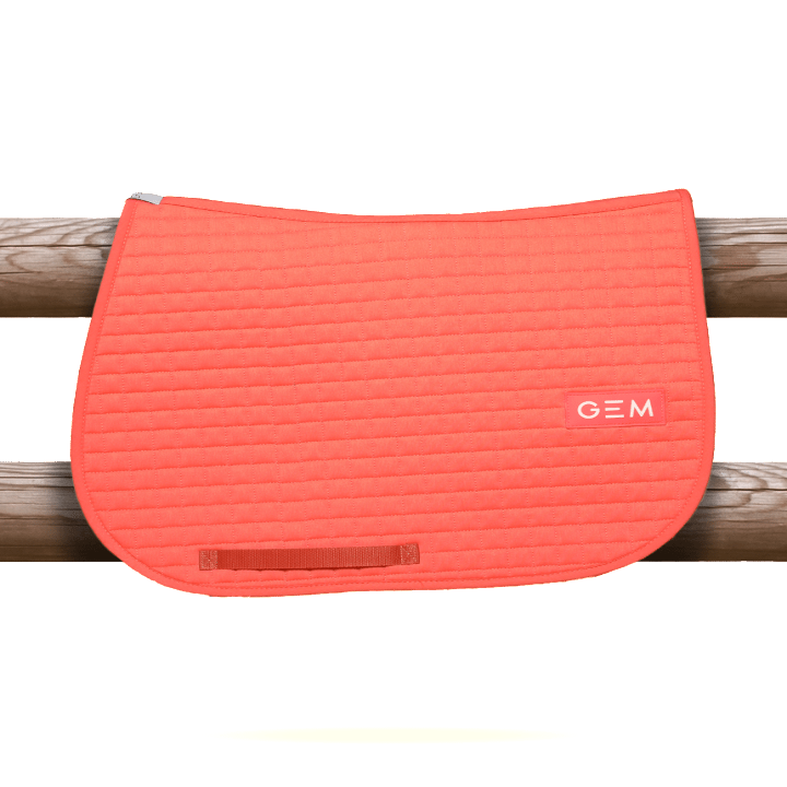 tapis-leo-obstacle.jpg-2