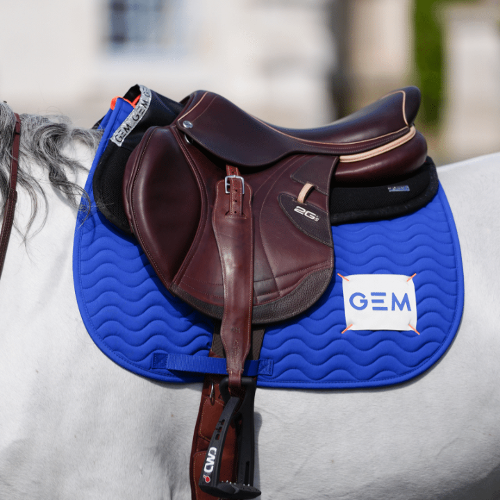 Tapis touc touc bleu GEM bleu 6