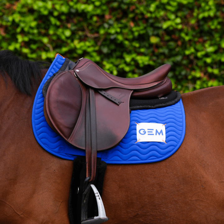 Tapis touc touc bleu GEM 3